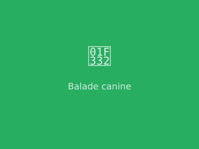 Balade canine