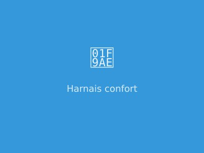 Harnais réfléchissant