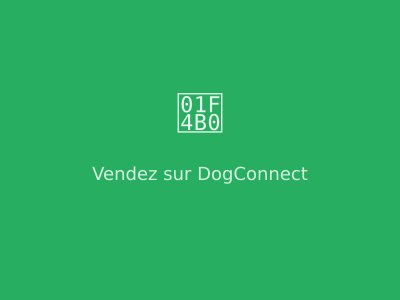 Vendre sur DogConnect